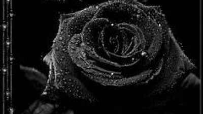 MY MISSION IS COMPLETED WORK HERE IS DONE FINALLY.